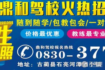 龍崗坑梓最新招聘司機(jī)信息，探索職業(yè)發(fā)展的無限可能，龍崗坑梓最新司機(jī)招聘信息，職業(yè)發(fā)展的無限機(jī)遇探索