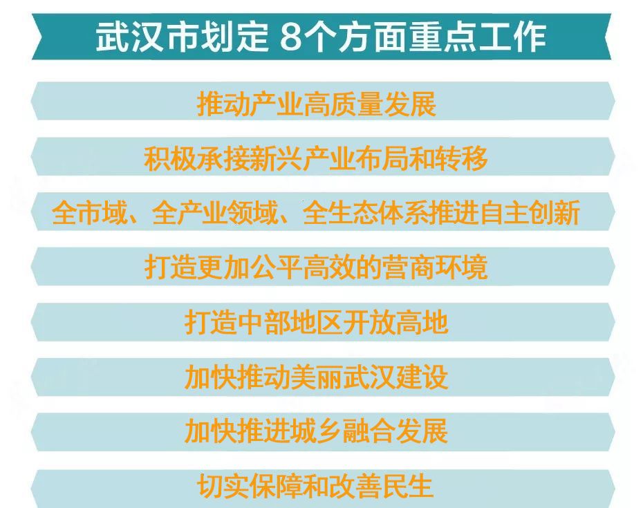 2024新奧精準正版資料,效率資料解釋落實_精英版201.123