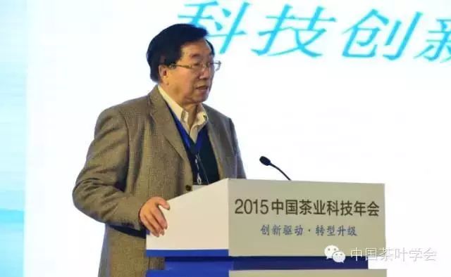 湖南衛視的歷任公證員，見證娛樂時代的公正力量，湖南衛視公證員歷程，見證娛樂時代的公正力量