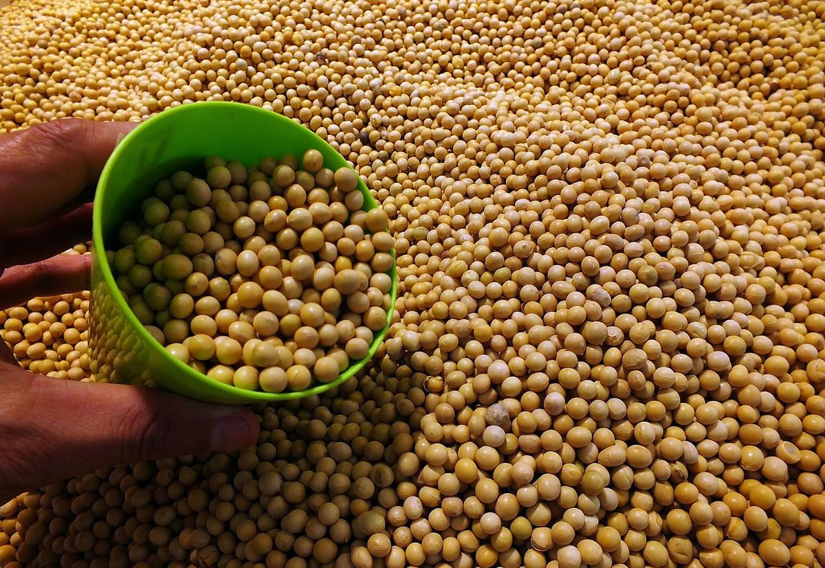 轉基因最新結果，探索生物科技的嶄新領域，轉基因最新研究成果揭秘生物科技新領域