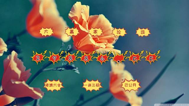 關于澳門彩票開獎信息的真實性與合法性探討——警惕虛假圖庫與非法彩票活動，澳門彩票開獎信息的真實性與合法性探討，警惕虛假圖庫與非法彩票活動風險