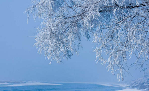 哪里可以看雪，一場關于雪景的探尋之旅，雪景探尋之旅，踏遍千山萬水只為那一場雪的美景