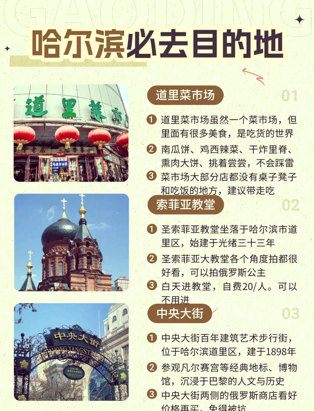 哈爾濱旅游攻略，揭秘必去景點，哈爾濱旅游攻略揭秘，必去景點一網打盡
