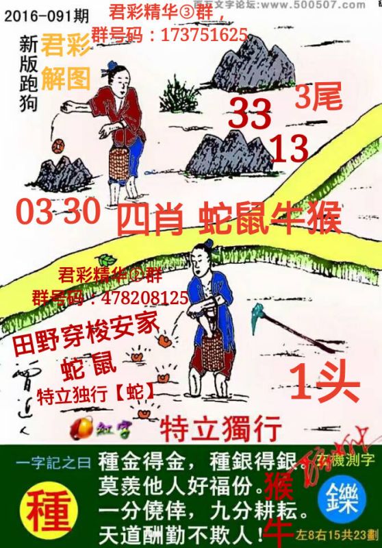 揭秘精準(zhǔn)跑狗圖，數(shù)字組合77777與88888的奧秘，揭秘精準(zhǔn)跑狗圖，數(shù)字組合77777與88888的神秘面紗