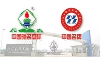 長青集團股吧，探究其背景、現狀與未來展望，長青集團股吧深度解析，背景探究、現狀概覽與未來展望