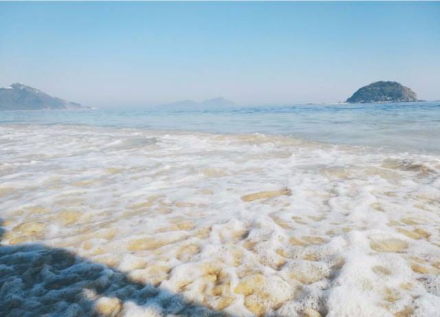 澳門 第48頁