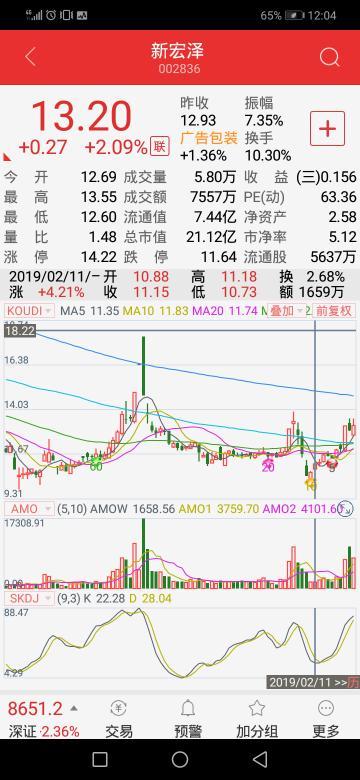 新宏澤股票，市場趨勢與投資策略分析，新宏澤股票，市場趨勢解讀與投資策略探討