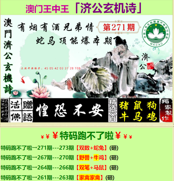 王中王二肖中特一，探尋神秘數字背后的故事，探尋神秘數字背后的故事，王中王二肖與特一的奧秘