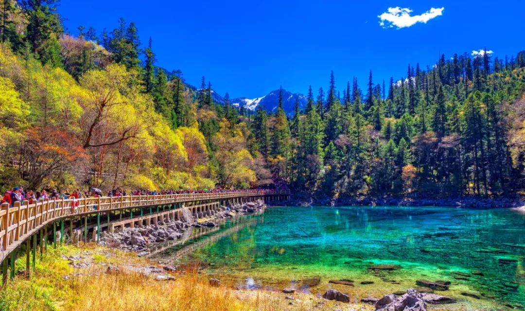 九寨溝風景名勝區(qū)，自然之韻，人間仙境，九寨溝風景名勝區(qū)，自然韻味的人間仙境