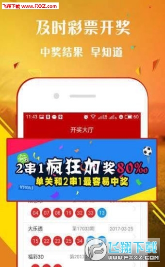 王中王與肖選一肖，探索與洞察的獨(dú)特結(jié)合，王中王與肖選一肖，探索與洞察的完美結(jié)合