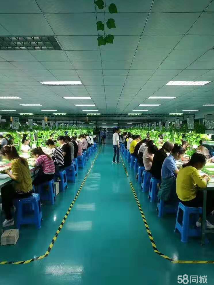附近招工信息，女員工專屬的8小時(shí)白班工作機(jī)會(huì)，女員工專屬白班工作機(jī)會(huì)，附近招工信息8小時(shí)白班招聘啟事