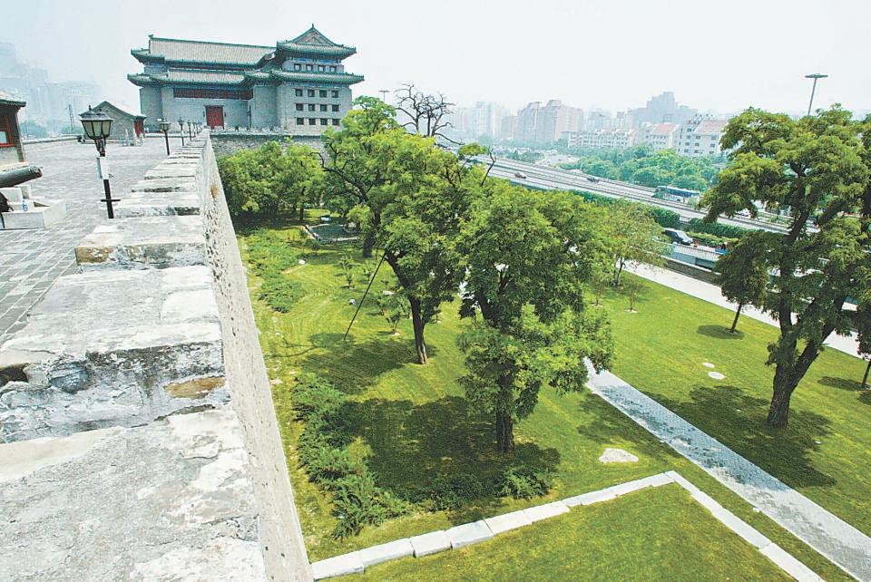 北京哪個公園最值得去，探尋城市綠肺的奧秘，探尋北京城市綠肺，哪個公園最值得一游？