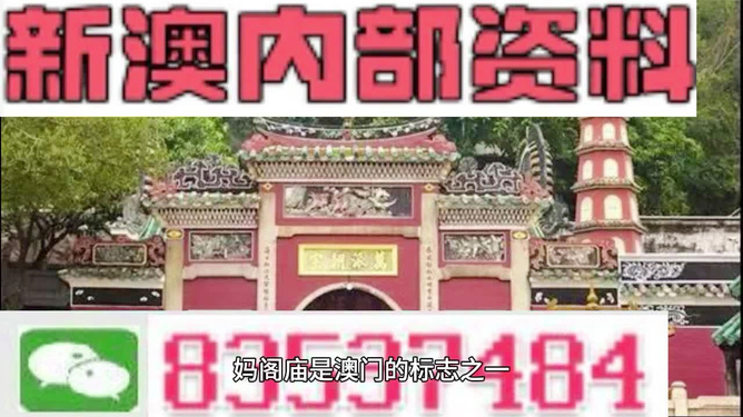 澳門三肖三碼精準100%黃大仙，揭示背后的違法犯罪問題，澳門三肖三碼精準與黃大仙背后的違法犯罪問題揭秘