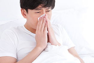 過敏性鼻炎偏方，傳統智慧與現代醫學的交融，過敏性鼻炎偏方，傳統智慧與現代醫學的交融探索