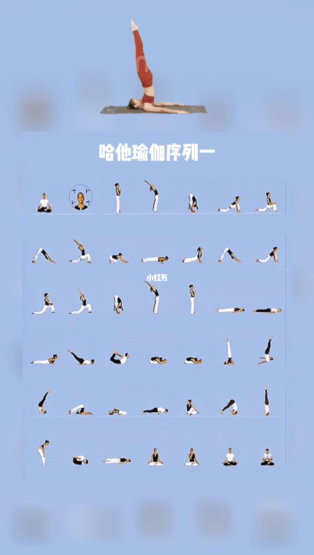 瑜伽的魅力，哈他瑜伽體式在60分鐘排課中的展現，瑜伽的魅力，哈他瑜伽體式在短暫課程中的展現風采