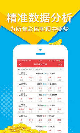 王中王一肖2碼，探尋背后的故事與意義，王中王一肖2碼背后的故事與意義探尋