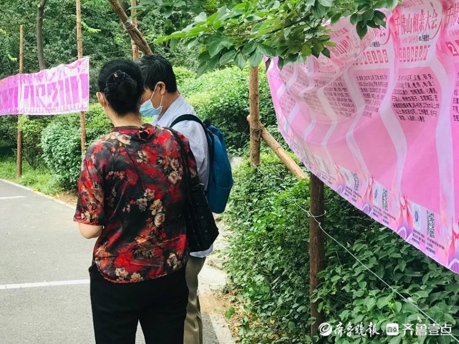 中國新相親免費觀看，一場尋找真愛的盛大舞臺，中國新相親，免費觀看，真愛尋找的盛大舞臺