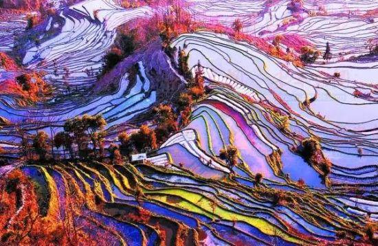 昆明旅游攻略，揭秘必去景點，昆明旅游攻略揭秘，必去景點一網打盡