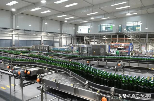 重慶啤酒股份有限公司，歷史、現(xiàn)狀與未來(lái)展望，重慶啤酒股份有限公司，歷史沿革、現(xiàn)狀瞭望與未來(lái)展望