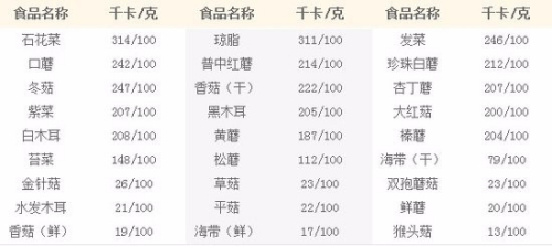 制定減肥方案制定表，邁向健康生活的第一步，制定減肥方案表，邁向健康生活的第一步