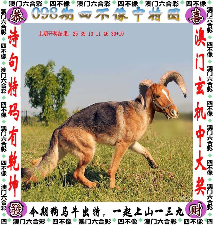 澳門精準(zhǔn)四不像，探索與預(yù)測的未來展望，澳門精準(zhǔn)四不像的未來展望與探索預(yù)測