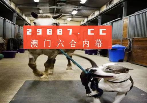 新奧門一肖一馬必中的奧秘與探索，新奧門一肖一馬必中的奧秘揭秘與探索