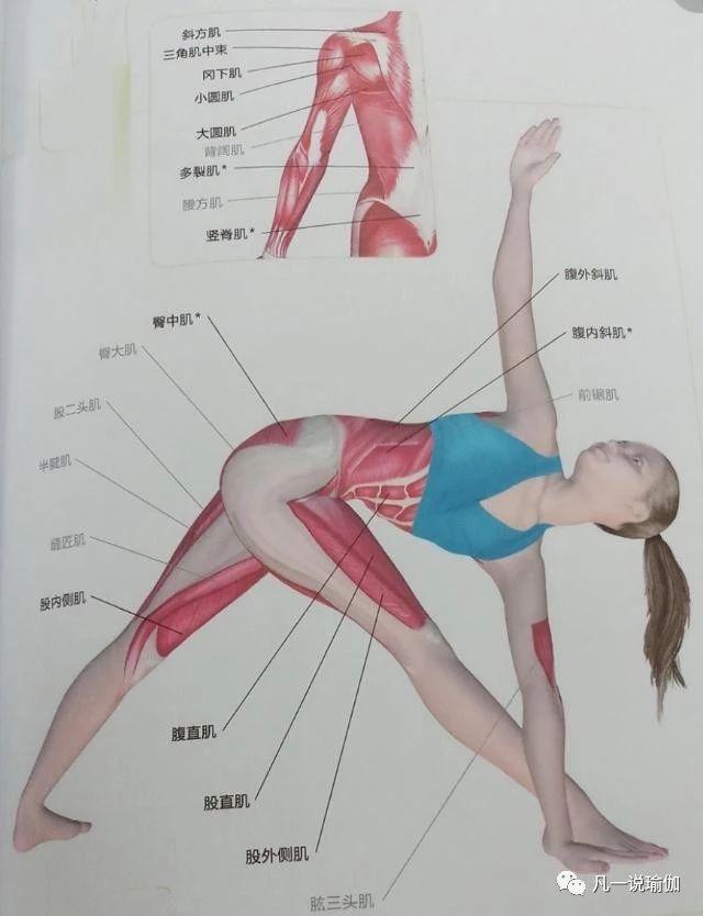 在家輕松開啟瑜伽之旅，瑜伽視頻教程初級全套詳解，在家輕松開啟瑜伽之旅，瑜伽視頻教程初級全套詳解指南