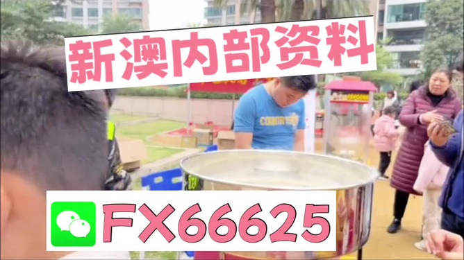 澳門正版免費(fèi)全年資料大全與旅游團(tuán)，深度探索澳門之旅，澳門正版全年資料大全與旅游團(tuán)，深度探索之旅
