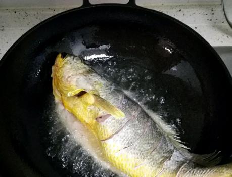 黃花魚的美味烹飪之道，探索多種做法，盡顯魚鮮之美，黃花魚烹飪百味，探索多種做法，盡顯鮮美魚韻
