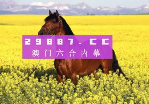 揭秘澳門(mén)六開(kāi)獎(jiǎng)結(jié)果背后的故事，探索與期待，澳門(mén)六開(kāi)獎(jiǎng)背后的秘密，揭曉結(jié)果故事，探尋期待與探索之路