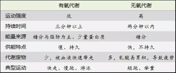 無氧與有氧的區(qū)別，運(yùn)動(dòng)方式的差異及其影響，無氧與有氧運(yùn)動(dòng)的差異，運(yùn)動(dòng)方式、影響及區(qū)別解析