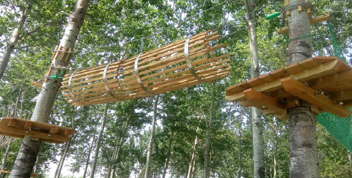 長沙植物園門票預(yù)約攻略，長沙植物園門票預(yù)約指南