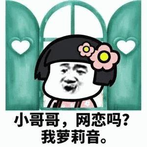 數字背后的故事探索