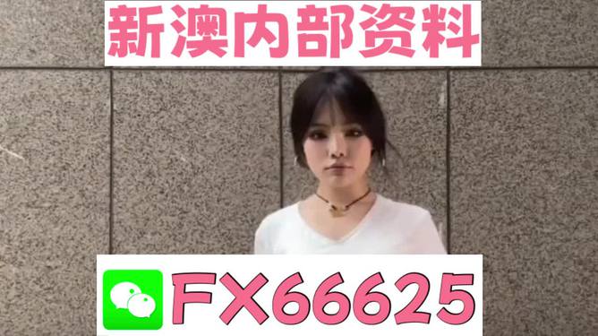澳門正版資料大全的特色功能及其應用，澳門正版資料大全，特色功能概覽與應用場景解析