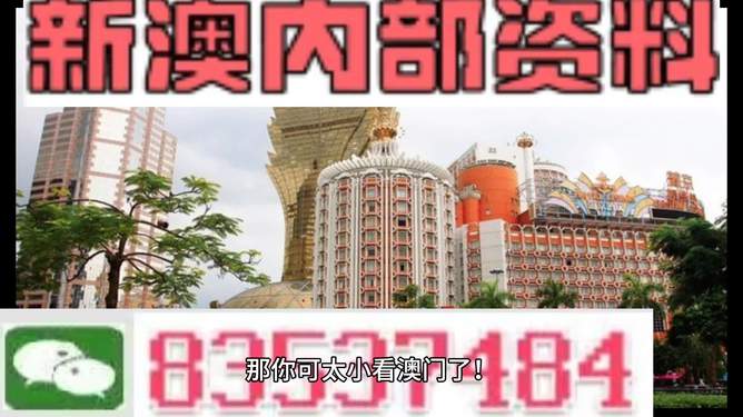 澳門4949資料免費(fèi)大全——探索澳門彩票的奧秘，澳門彩票奧秘揭秘，4949資料免費(fèi)大全探索