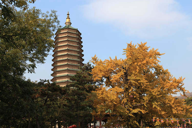 八大處公園景點詳細介紹，八大處公園景點深度解析