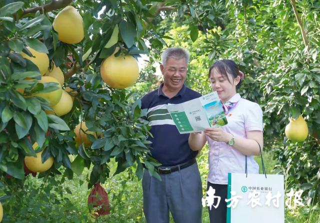 邁向未來的資料寶庫，2025年資料免費大全，邁向未來的資料寶庫，2025年免費資料大全匯總