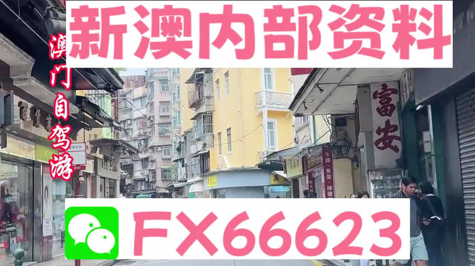 新澳精準資料，免費提供的力量與價值，新澳精準資料，免費提供的力量與價值的體現